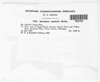Image Associated With the Occurence